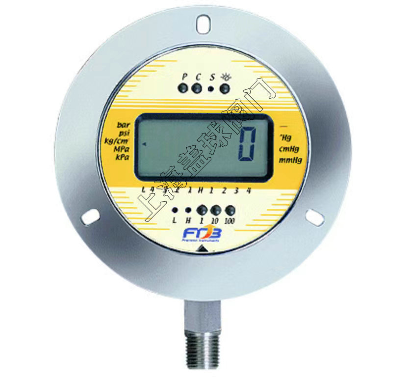 DPS-75LM直立式附前法蘭壓力計-FTB.jpg
