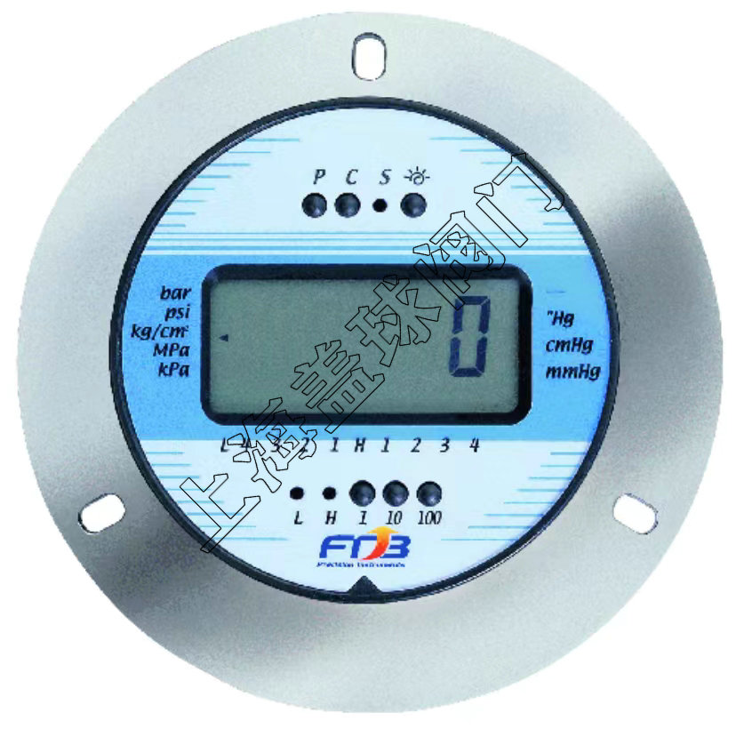 DPS-75LBM埋入式附前法蘭壓力計(jì)-FTB.jpg