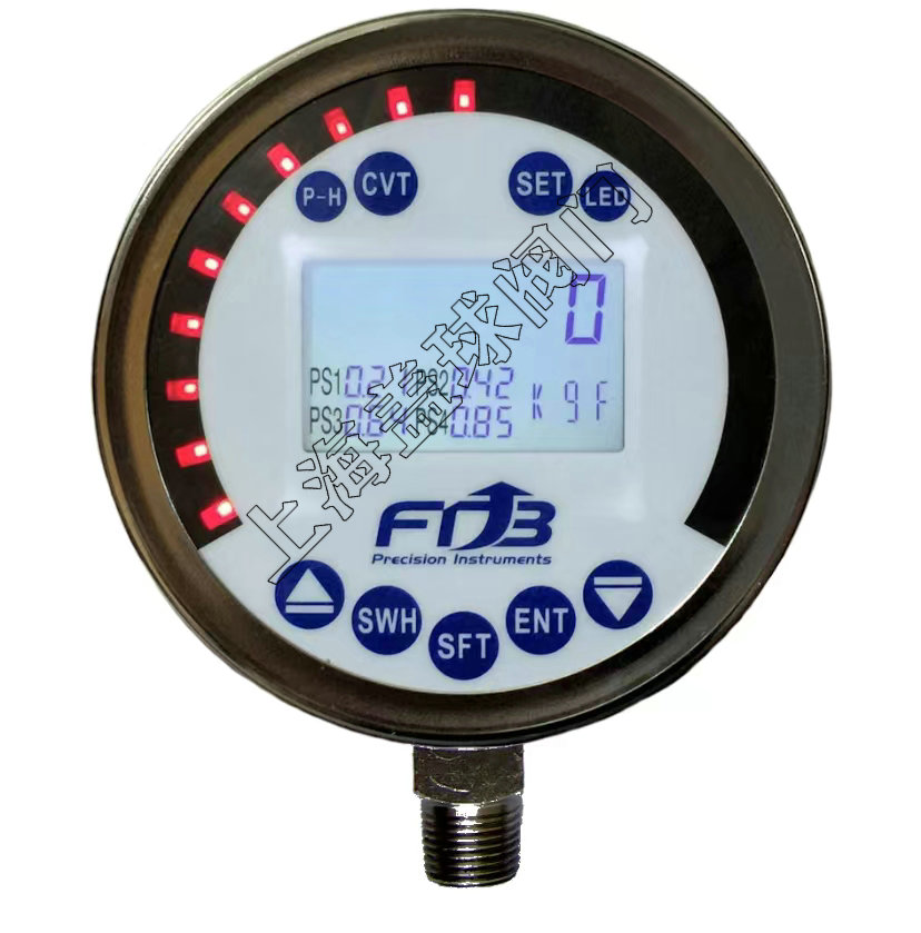 DPG-100LM表面數顯壓力表-RS-485.jpg