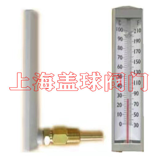 角板型溫度計-原裝進口.jpg
